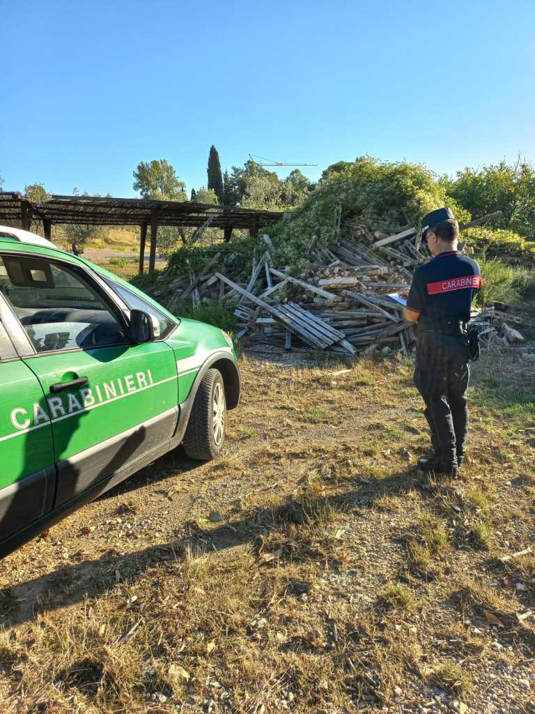 Pali di cemento per vigneto abbandonati in una discarica abusiva