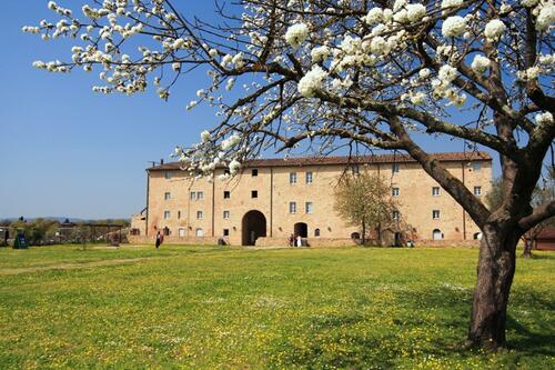 Domenica Duecento bikers a Poggibonsi per la Francigena Bike Adventure