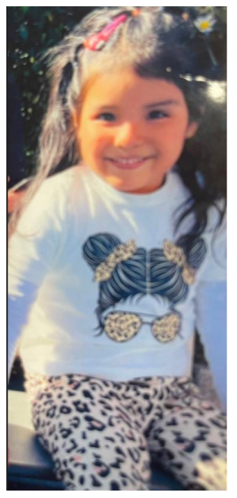 Bimba di 5 anni scomparsa a Firenze, ore di angoscia