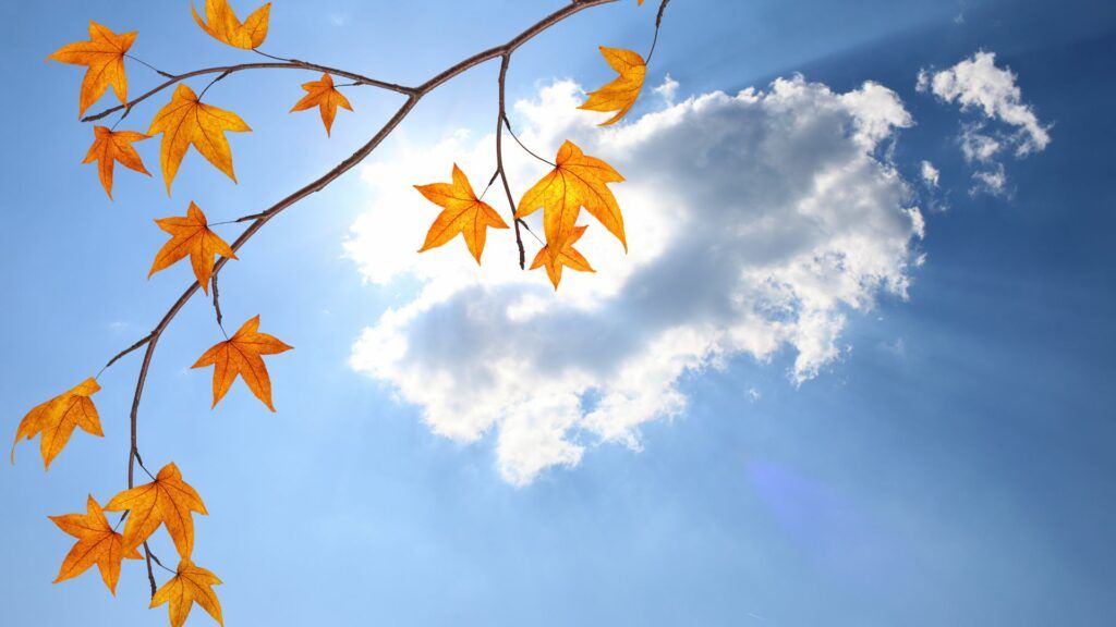 Sarà una settimana di sole, e torna l’estate di San Martino: cosa dice la leggenda