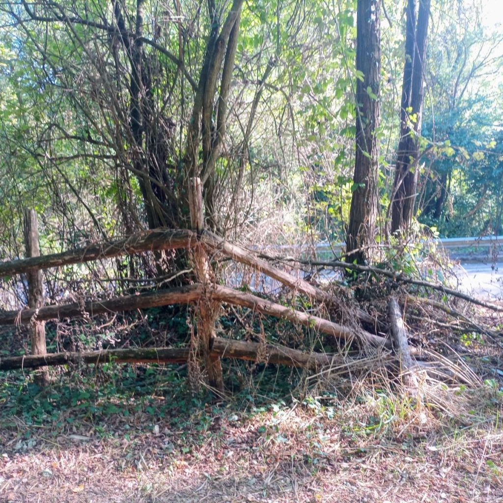 Sei chilometri di vergogna tra Poggibonsi e Colle