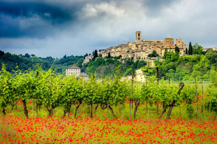 Colle di Val d&rsquo;Elsa, sabato tra fiabe e poesia: la Biblioteca Braccagni cuore della cultura
