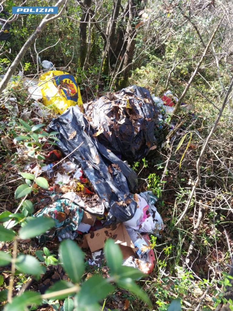 Polizia: operazione antidroga nel bosco di Vagliagli