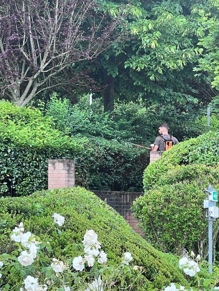 Pi&ugrave; fiori, pi&ugrave; api, pi&ugrave; biodiversit&agrave;: Montespertoli riduce gli sfalci per tutelare la natura urbana