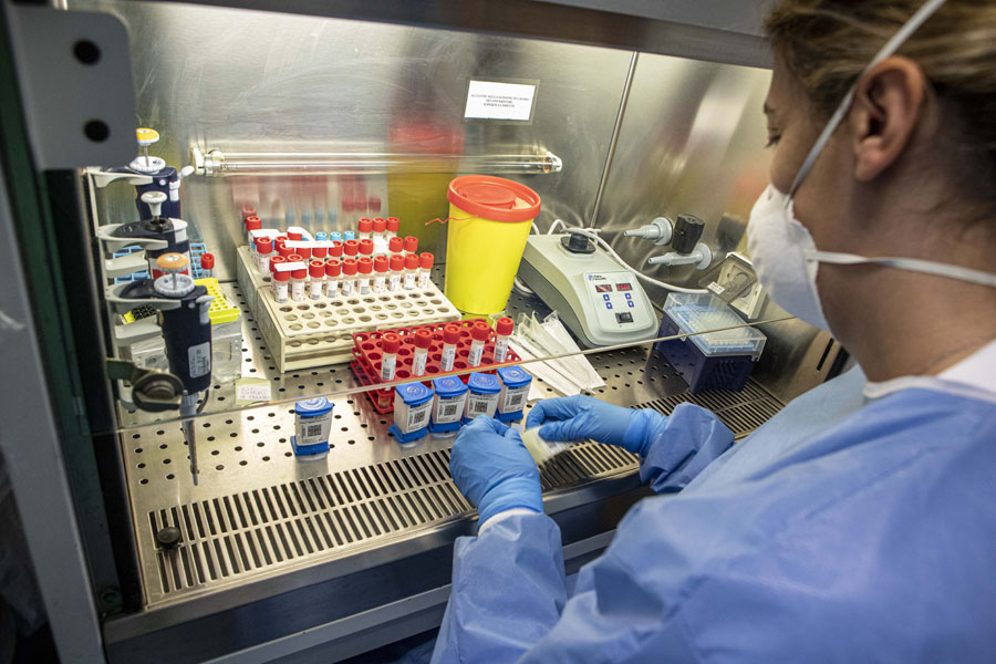 In Italia superati i 500 casi di vaiolo delle scimmie. Cosa c’è da sapere sul virus