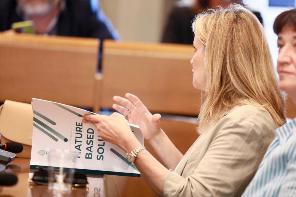 Ambiente e sviluppo della città: arriva il ‘Patto del verde’