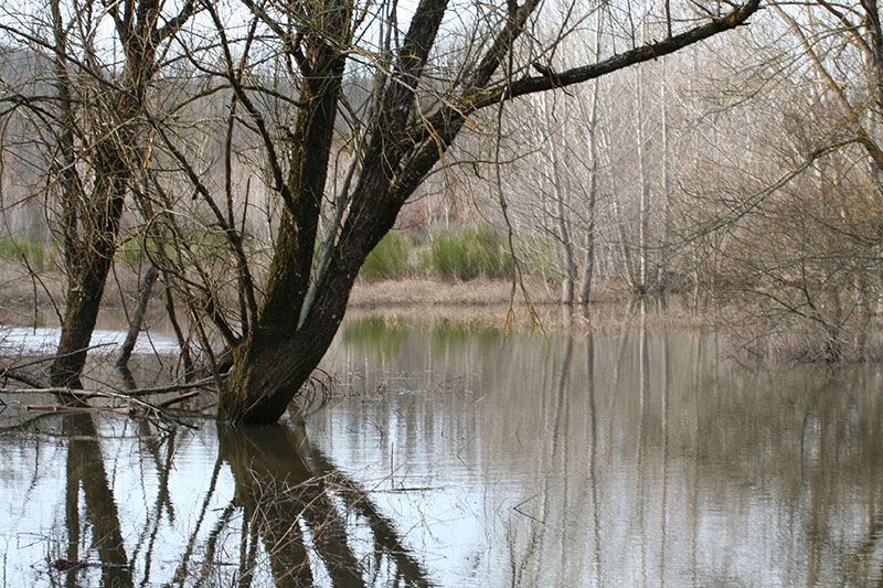 Rapolano. Lago di Calcione: approvato il regolamento comunale e ordinata la rimozione delle barche abbandonate