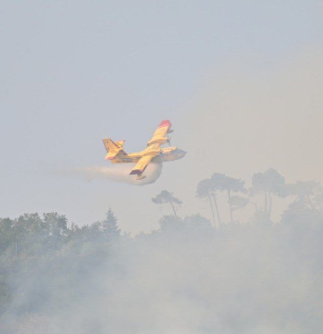 Isola d'Elba divorata dalle fiamme. Evacuate 700 persone
