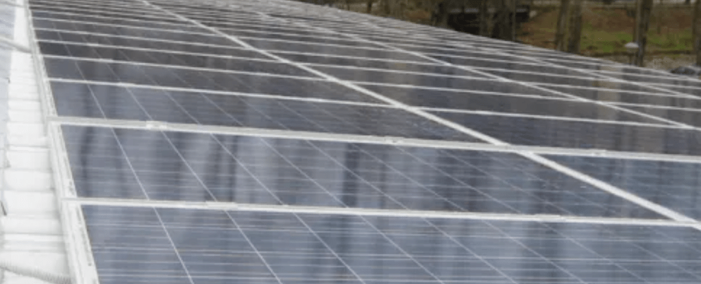 Produrre energia rinnovabile. Greve vuole realizzare un cambio di passo insieme alla sua comunità