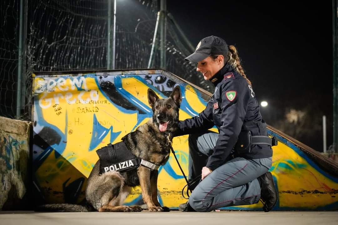 Firenze, donna svenuta in macchina, denunciata per  cocaina e anfetamina