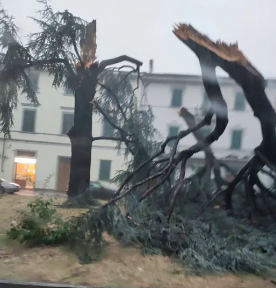 Maltempo a Empoli: raffica di interventi per alberi caduti, allagamenti e danni a edifici