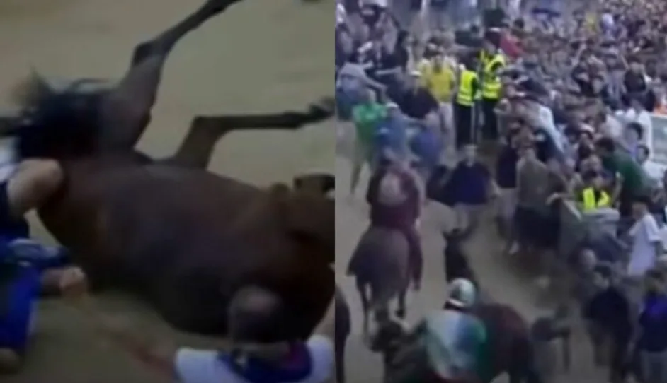 Caduta di fantino e cavallo, il Palio di Siena nella bufera degli animalisti. “Anda e Bola sta bene”