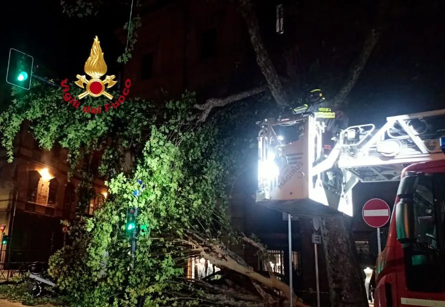 Maltempo in Toscana, notte di paura: danni, alberi caduti e oltre 200 volontari in campo