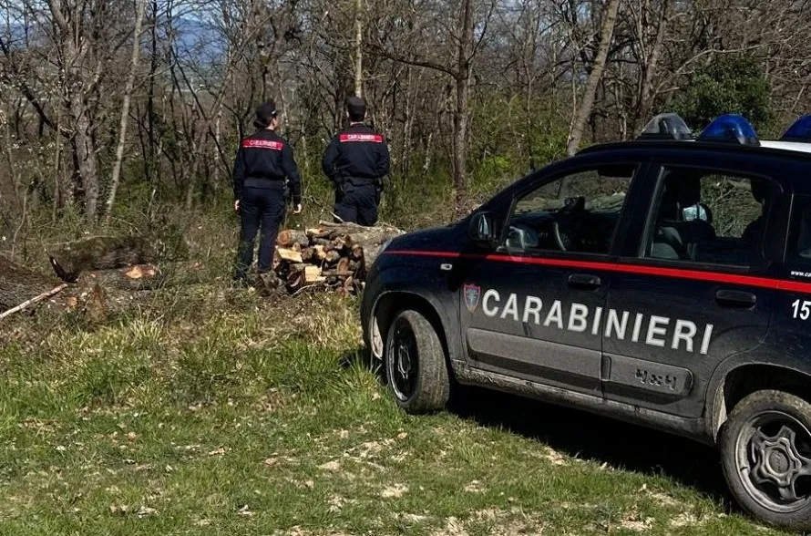 San Gimignano e Poggibonsi: blitz dei Carabinieri nei boschi, arrestato pusher con droga, contanti e coltello