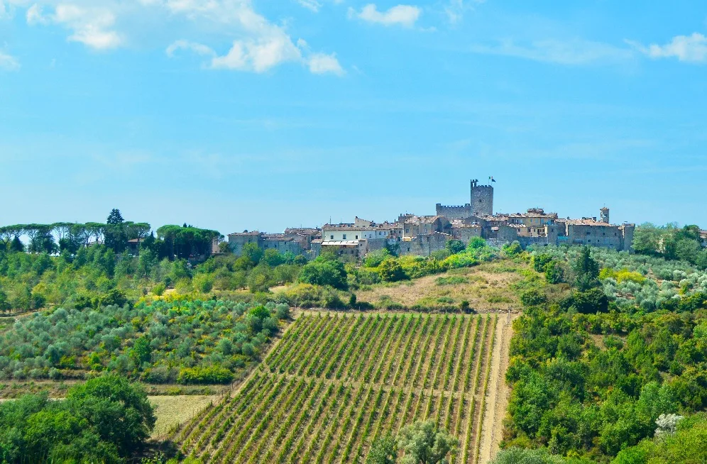 Con Castellina Wine Run la vendemmia è un’esperienza podistica