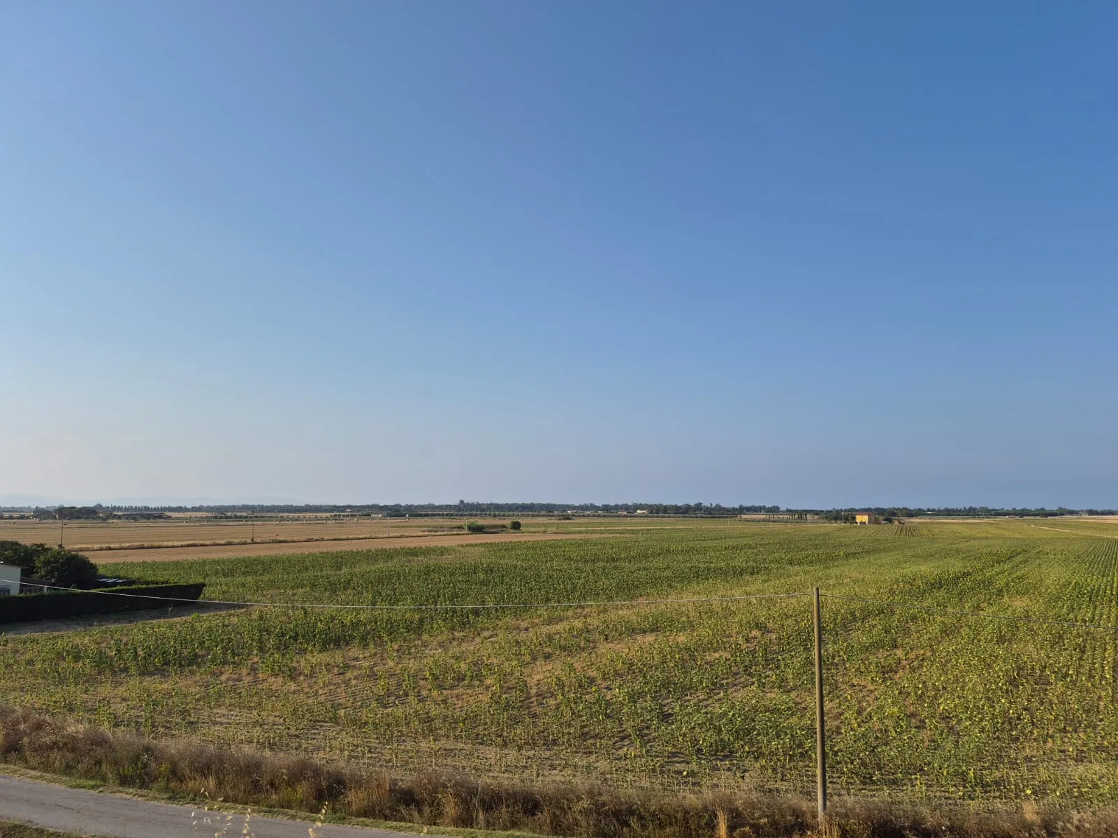 Piombino, l'agrivoltaico che minaccia Alturetta: 48mila pannelli nei campi