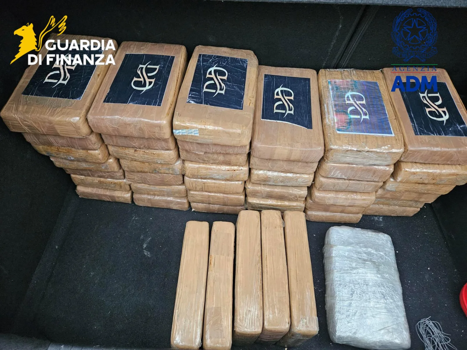 Porto di Livorno, maxisequestro di droga: 53 kg nel container