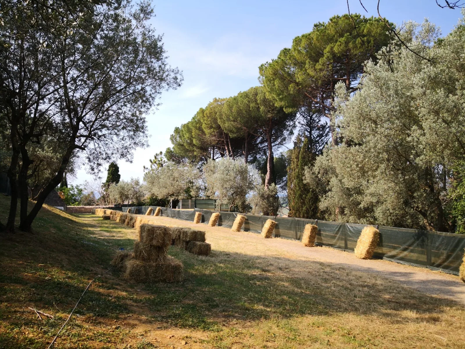 San Gimignano: storia, cultura e musica animano il weekend.  Fra i protagonisti Alessandro Fo e il chitarrista Márcio Rangel