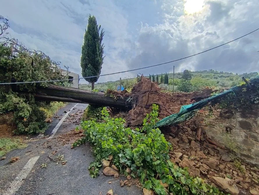 Drammatico maltempo in Valdichiana, tromba d’aria a Sinalunga: infranta una finestra, muore donna di 80 anni
