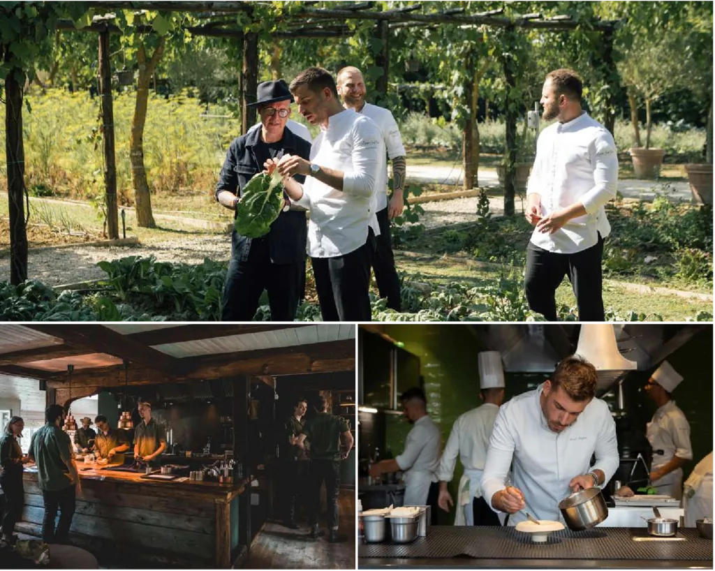 A Borgo Santo Pietro la foresta svedese incontra la Toscana