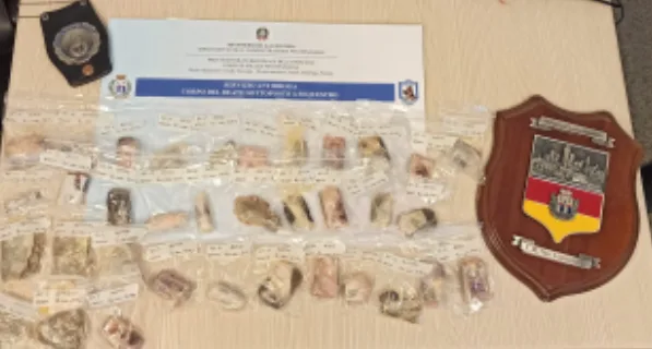 Droga nel carcere di San Gimignano: fiuto dei cani antidroga sventa l'introduzione di hashish e cocaina