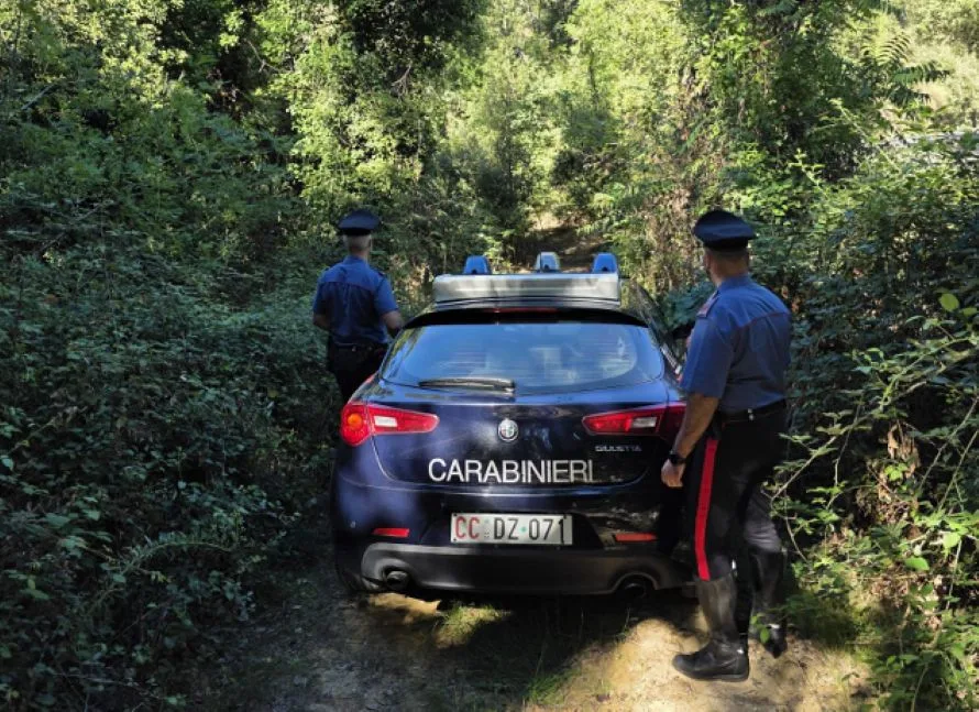 Blitz dei Carabinieri nei boschi di Poggibonsi: arrestato diciannovenne per spaccio di droga
