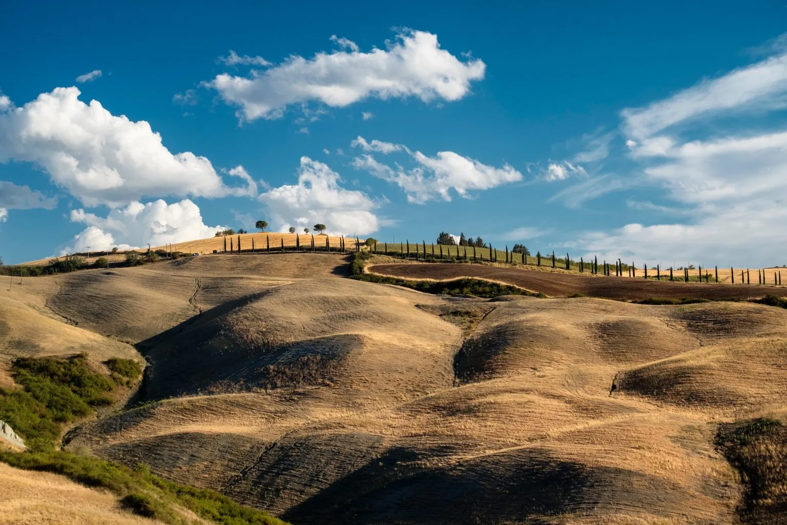 Casa Riformista, Crete Senesi e parco eolico: transizione energetica sì, ma senza svendere il territorio