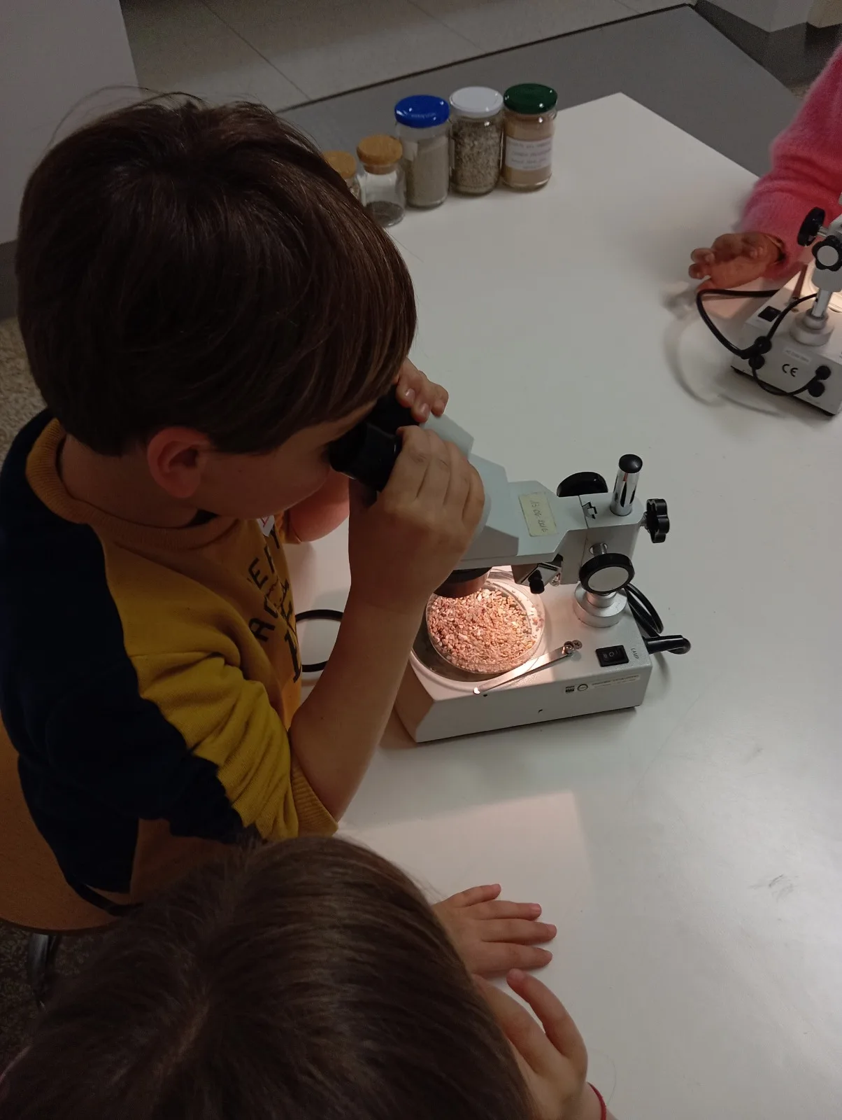 Empoli, al via Famiglie al Museo: da ottobre a gennaio un viaggio tra scienza, arte e creatività