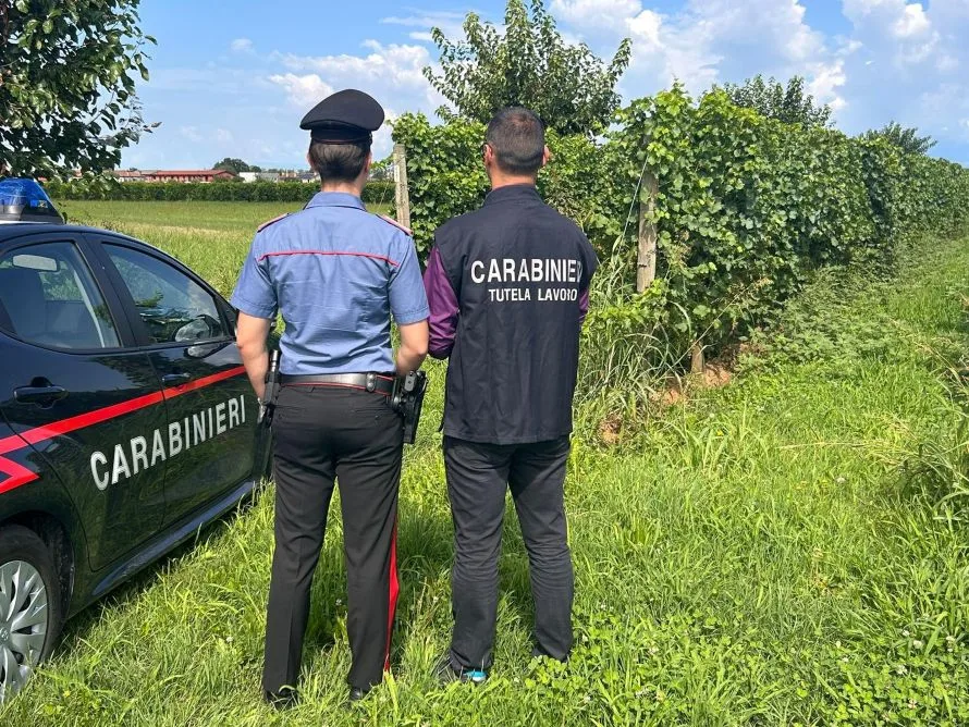 Caporalato e lavoro nero, controlli in 9 aziende agricole nel Senese: 2 sospese