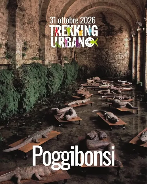 Dalla Fonte delle Fate al Poggio Imperiale: Poggibonsi si racconta attraverso i suoi antichi acquedotti