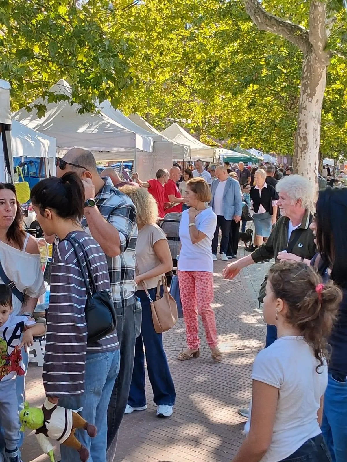 Castelfiorentino, torna “L'Angolo del Tempo”: mercatino in piazza Gramsci il 1° novembre