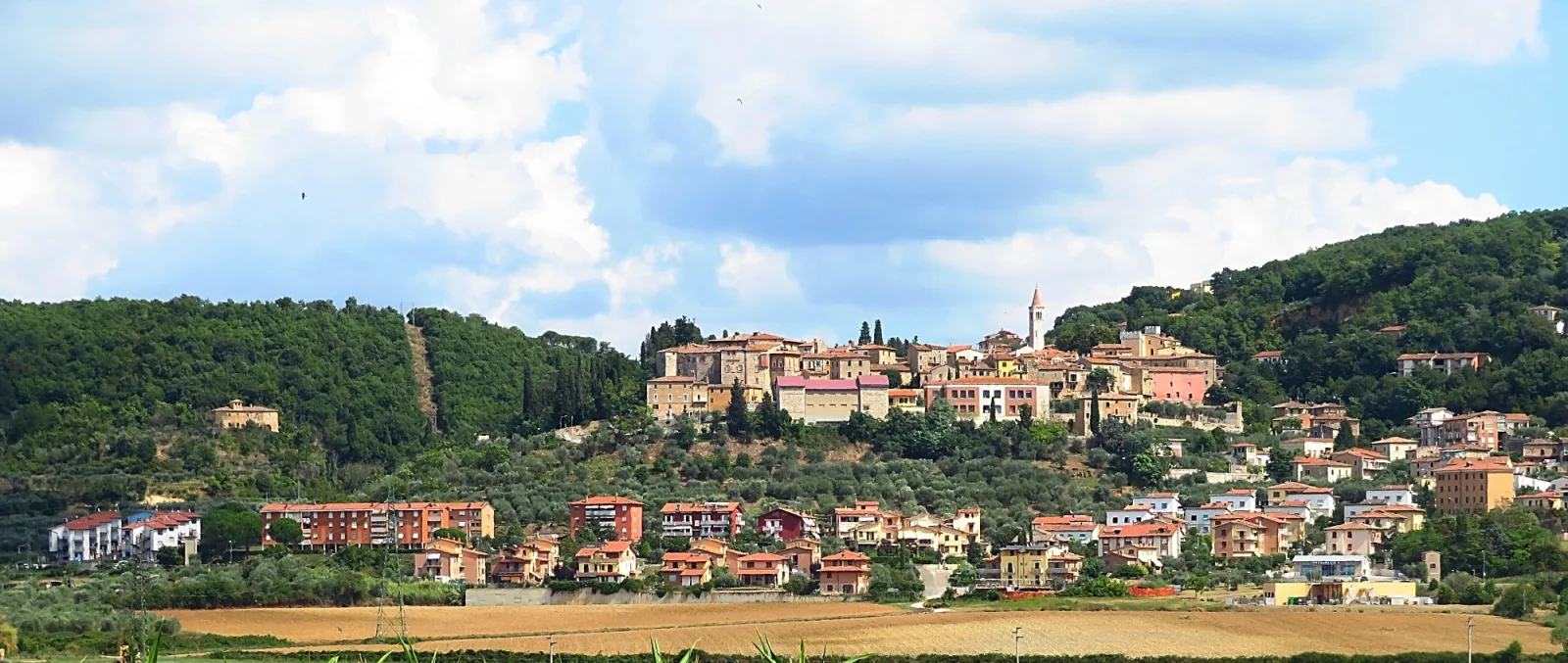 Camminata tra gli Olivi a Serre di Rapolano: trekking, olio nuovo e visita alla mostra su Pasolini
