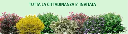 San Gimignano: nasce il 