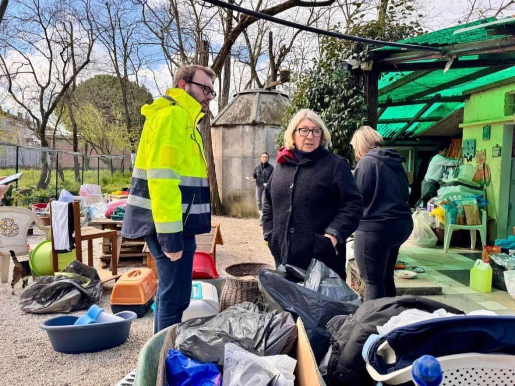 Empoli, gattile, trasferiti gli ospiti nella struttura di Casenuove