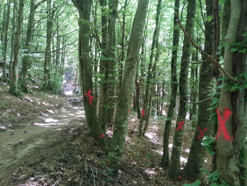Occupato il cantiere dell’eolico in Mugello: blitz di 50 incappucciati con coltello, “danni ingenti”