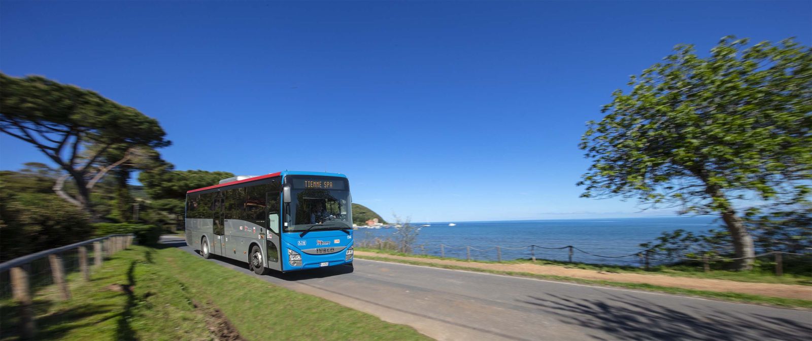 Al mare in bus: dal 13 giugno tornano le Linee Mare di Tiemme da Siena, Colle e Poggibonsi
