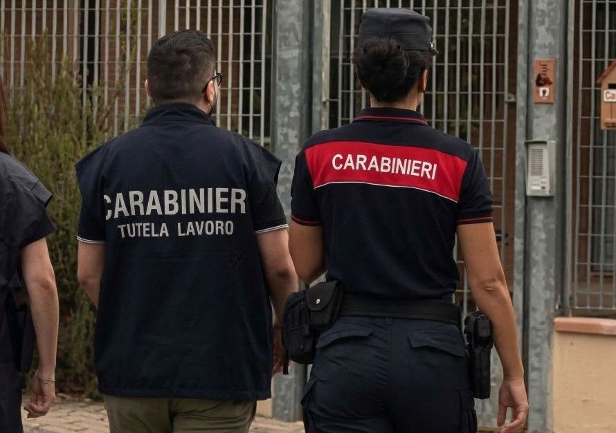 Murlo, scoperti due tagliaboschi in nero: denunciati i titolari dell&rsquo;impresa agroforestale