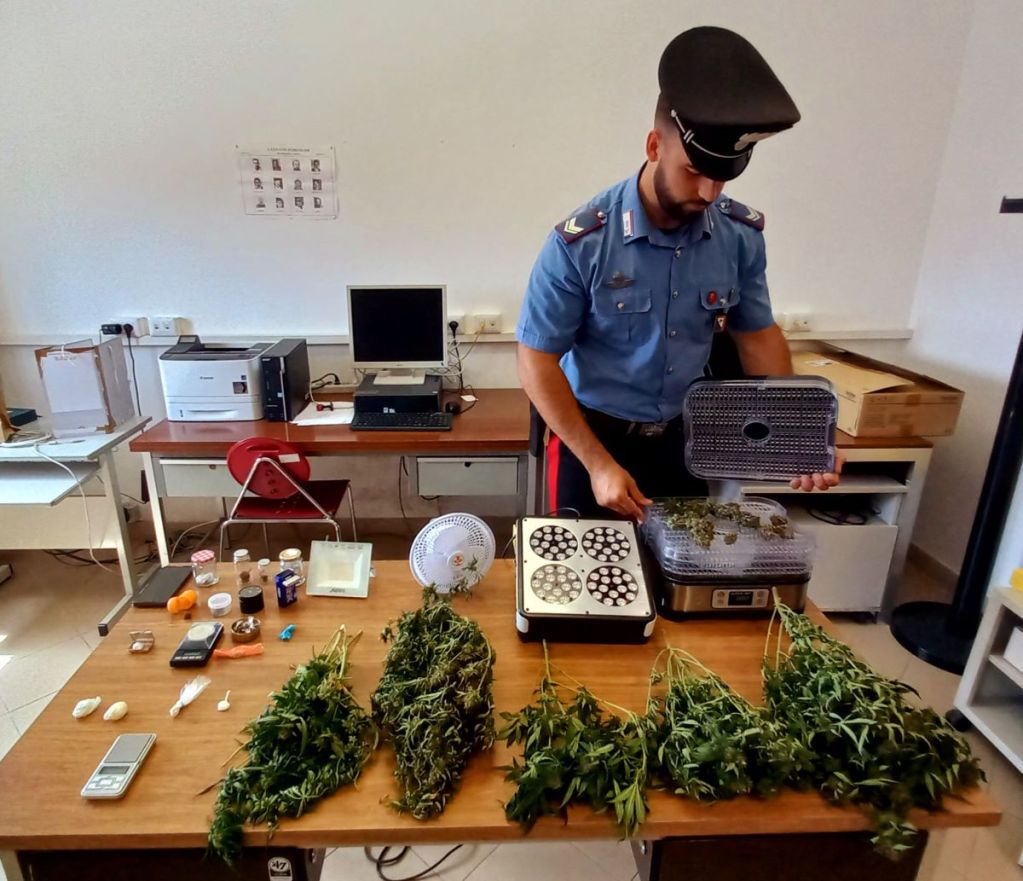 Marijuana coltivata in casa e spacciata: 2 denunce
