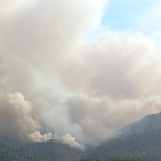 In Versilia sotto controllo l'incendio di Massarosa: 600 persone evacuate e oltre 820 ettari in fiamme (video)