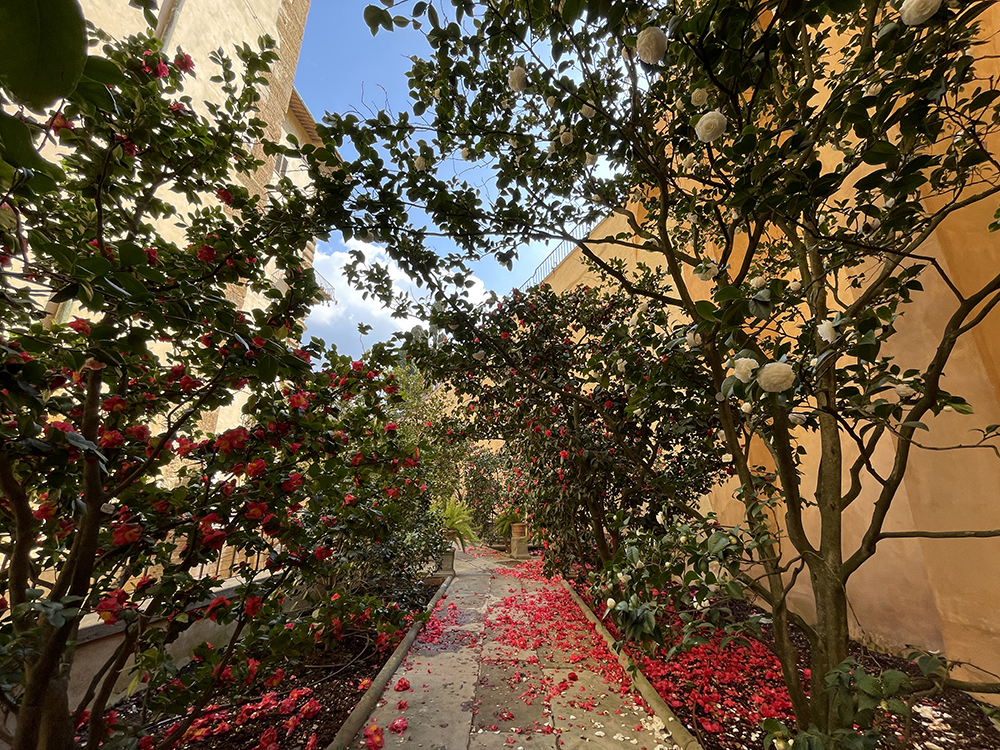 VIDEO- Il Giardino di Boboli apre al mondo un angolo segreto, finora mai visto