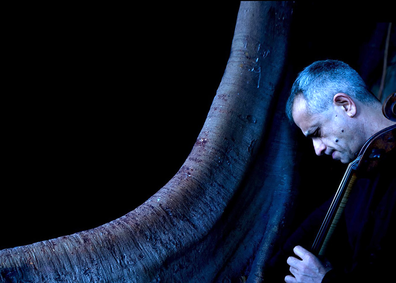 Al Politeama Giovanni Sollima, solista e concertatore con l'ORT