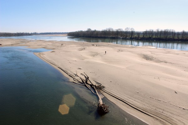 Clima, l’allarme della Coldiretti: “Quinto inverno più caldo di sempre, siccità colpisce l’agricoltura”