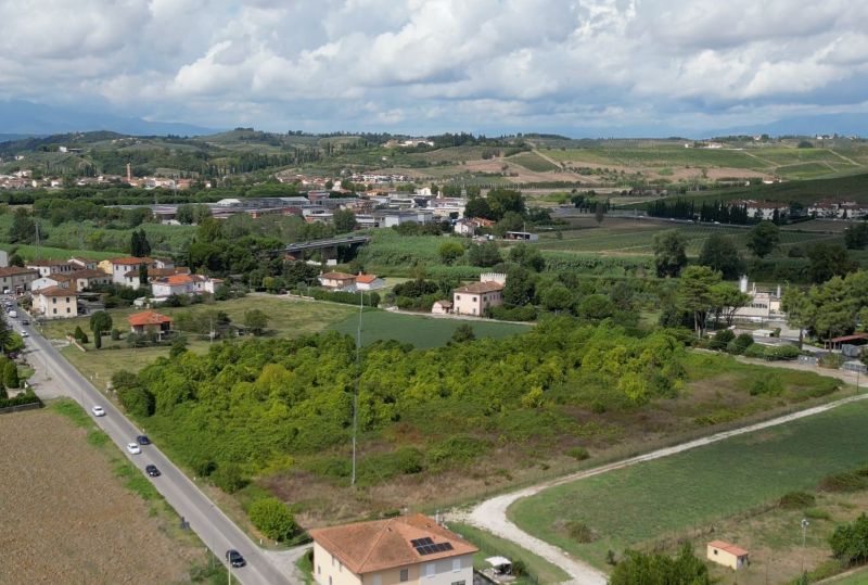 Empoli, nuovo gattile, individuata l'area: sarà in uno dei terreni ereditati a Marcignana