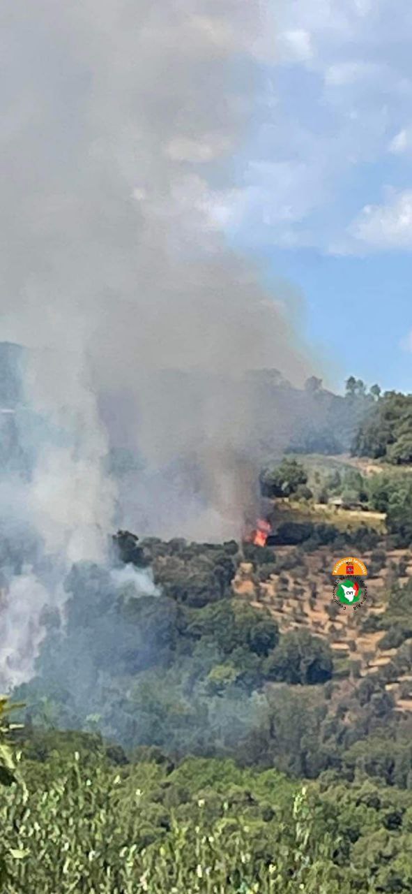 Strada chiusa per incendio, disagi tra Volterra e Cecina. Fiamme anche a Roccastrada