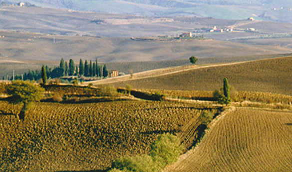 Paesaggi Musicali Toscani: al via il festival di musica classica in Val d’Orcia