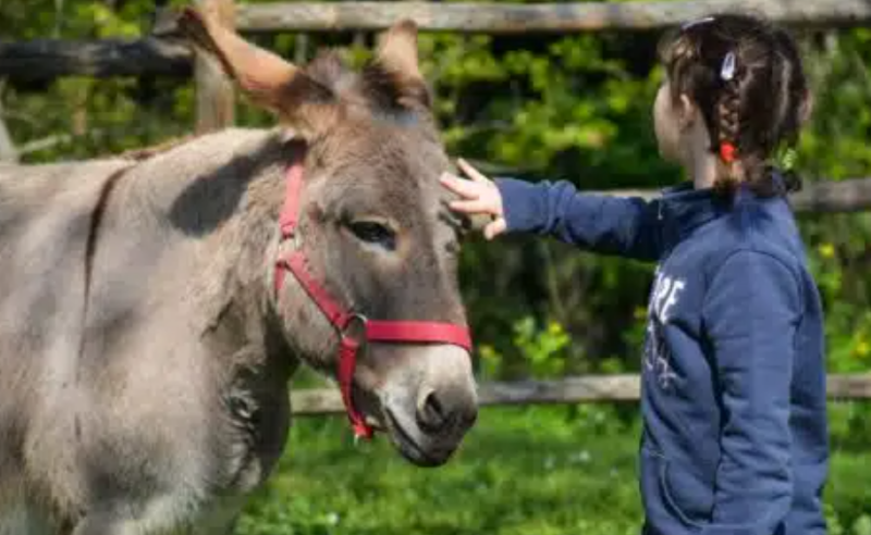 A Torrita di Siena arriva la pet therapy 