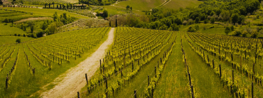 Il 19, 20 e 21 settembre Panzano in Chianti celebra il territorio e i 30 anni dell’Unione  Viticoltori 