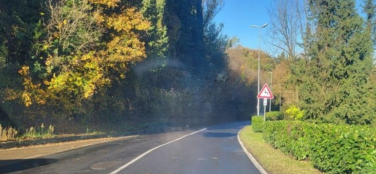 Poggibonsi, chiusura via Fortezza Medicea: intervento di potatura degli alberi