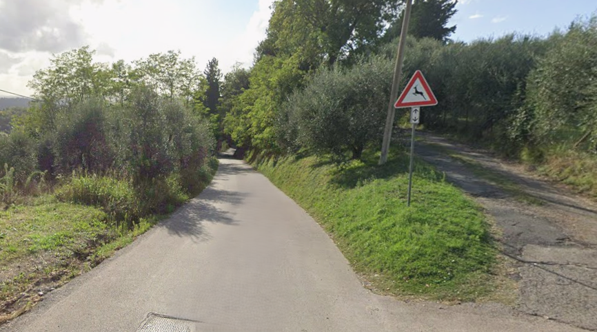 Gavignano, potatura alberi pericolanti: chiusure e divieti dal 16 al 18 marzo