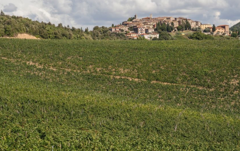 Enoturismo lento contro l'overtourism: le novit&agrave; estive di Trequanda e Pucciarella